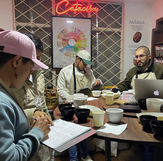 Catación Profesional